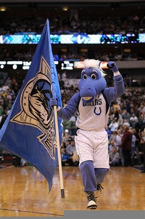 Dallas Mavericks mascot costume